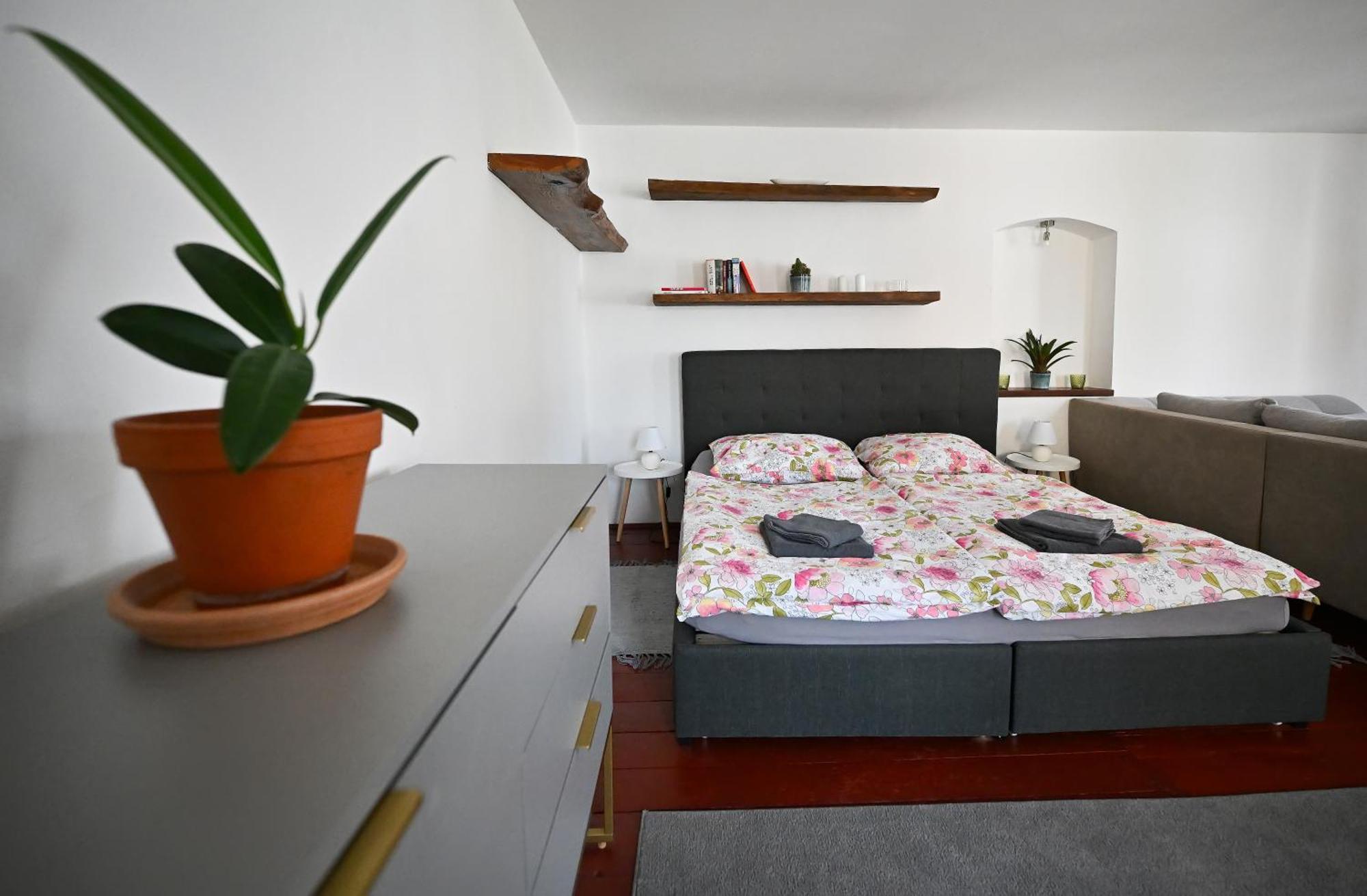 Apartman U Spinaru Trest Exterior photo